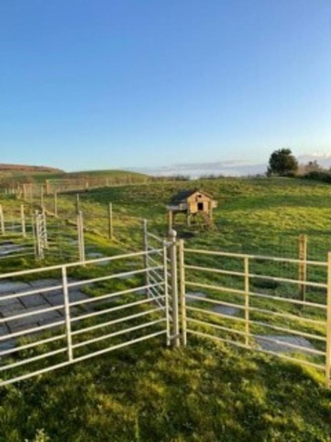 Surf Shack - Impeccable 1-Bed Cottage In Shorwell Exterior foto